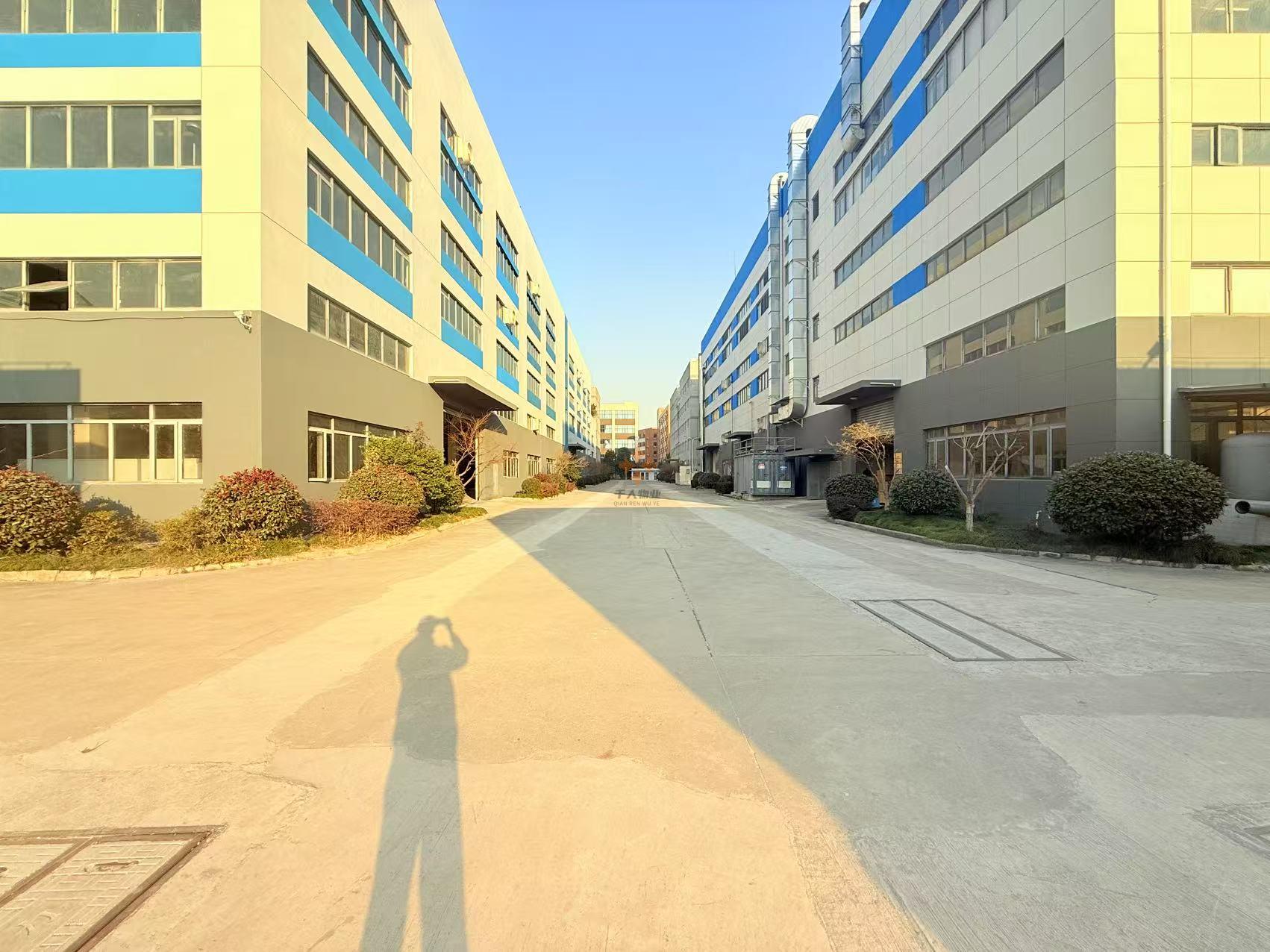 浦東 高乘材化加速產業(yè)園 500平米 簡裝
