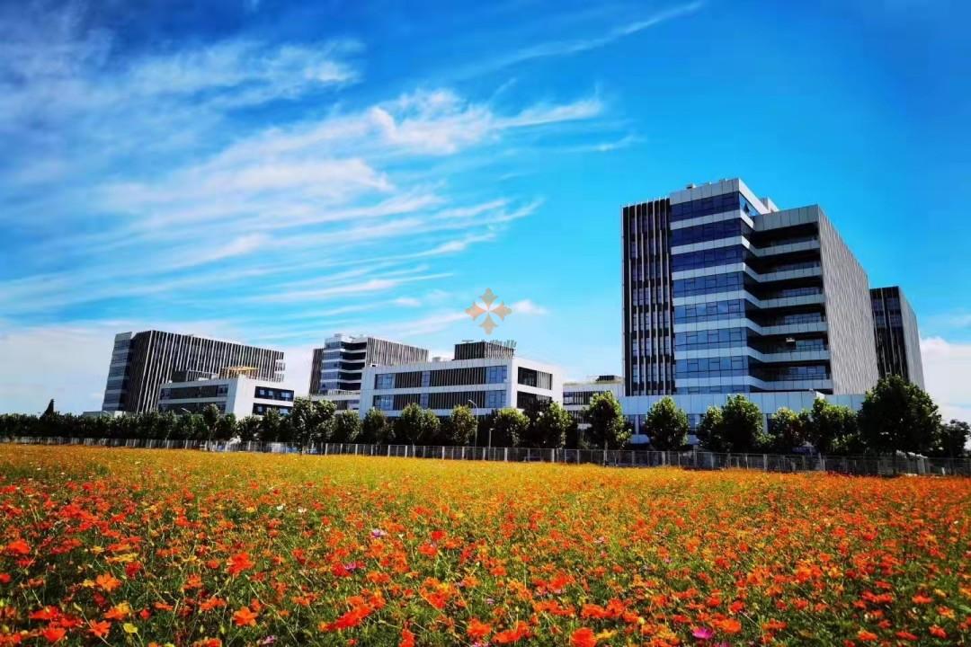 浦東軟件園三林園